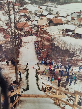 nov leseni nalet 1991_ avtor Franc Pepelnak